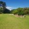 Buchan Estate and Self Catering