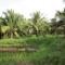 Orchard Fruit Farm Bungalow - Phu Quoc