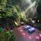 Nandini Jungle by Hanging Gardens