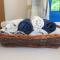 Sartivista Bed & Breakfast