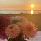 Beautiful Home In Ebeltoft With Wifi - Ebeltoft