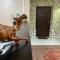 Zamco Boutique Hotel