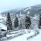 Chalet Ski in by Globalimmoservice - 巴德小基希海姆