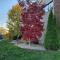 Rivers Edge Lofts - Unit 5 - Niles