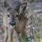 Hidden Beach 235