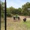 Bushland Haven by Tiny Away