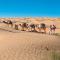 Camp Sahara Holidays