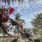 Nimbu Beachhouse