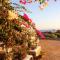 Sunny Studios Naxos