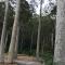 Durras Lake North Holiday Park