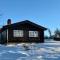 Cozy and warm mountain cabin in Dagali - Hol