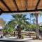Palm garden paradise