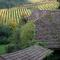 Pêche de Vigne & Spa photo 11