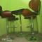 AFRIEUROTEXT Kamerun-High Standing-Appartements-Wifi-Security-Restaurant-modern Kitchen