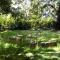 The Manse at Jamberoo Heritage Retreat on 1.5 Acres