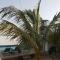 African Jaja villa Piscine-Climatisation