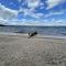 FLETCHER LIMIT 8 cottage - Standish