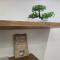 S11 Lime studio apartment