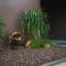 Sun House in Cabedelo