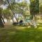 Camping Adria Ankaran - Pitches
