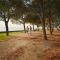 Camping Adria Ankaran - Pitches