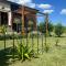 Los colibries