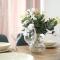 Apartman Borovi 11 Divčibare - Divčibare