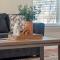 Spacious house in Star with game room - Star