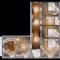 Alpine Apartements Maximilian - 贝希特斯加登