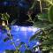Ecolodges en Provence - 圣马西敏·拉塞 Ecolodges en Provence - 圣马西敏·拉塞