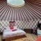 Ecolodges en Provence - 圣马西敏·拉塞 Ecolodges en Provence - 圣马西敏·拉塞