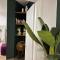 Flat with Jacuzzi - Casa Pia