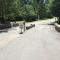 Mt Baker Lodging Cabin 61MBR - A delightful 1 story, 3 bedroom, 2 bath cabin - Deming