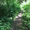 Mt Baker Lodging Cabin 61MBR - A delightful 1 story, 3 bedroom, 2 bath cabin - Deming
