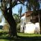 Willow Tree House - Hidden in the perfect place - Noriega