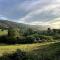 Willow Tree House - Hidden in the perfect place - Noriega