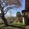 Willow Tree House - Hidden in the perfect place - Noriega