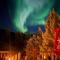 Holland America Dawson City Inn