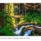 A Relaxing Getaway SolDuc 1