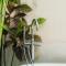 Luxurious 3BR Jungle View Villa in Cepaka - Tabanan
