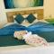 Blue Maalu Resort