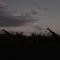 Wildehondekloof Game Lodge