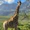 Wildehondekloof Game Lodge