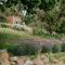 Outdoor Spa & Sauna with amazing views at Jaclyn Studio