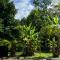Perezoso Lodge
