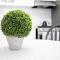 Private 1bed 1bath Apt Near Downtown 1st floor - U2 - 伯灵顿