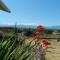 SQ Olympic-View-Cottage - Sequim