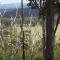 Bajimba Eco Camp & and Farm Stay