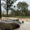 Bajimba Eco Camp & and Farm Stay