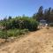 Sebastopol Wine Country Home with Vineyard Views - سيباستوبول